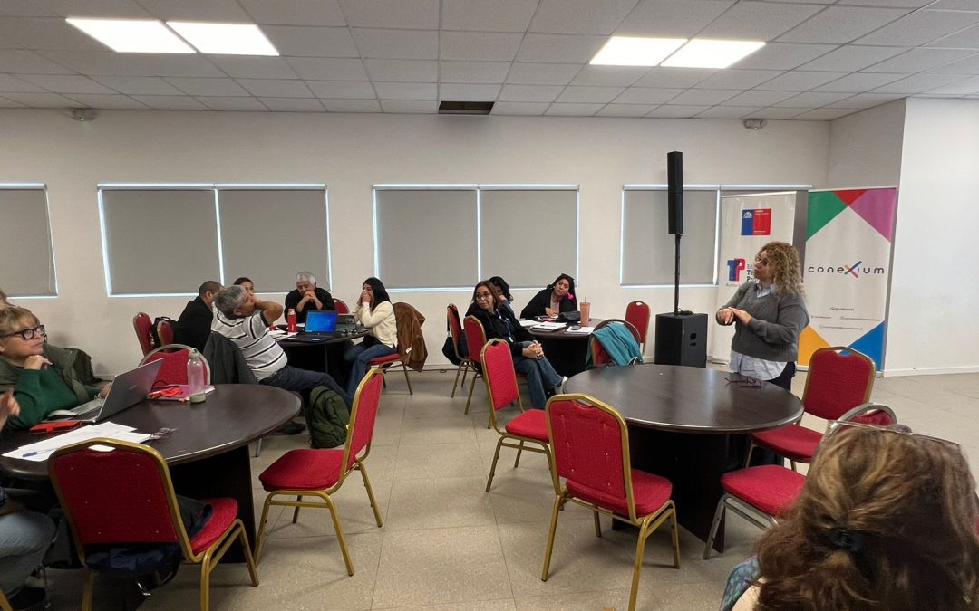 Exitoso curso Asistencia Técnica Ejecución de Iniciativas de Integración Curricular