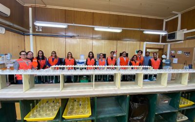 Futuro Técnico y SQM lideran pasantías para docentes en el sector minero de Antofagasta